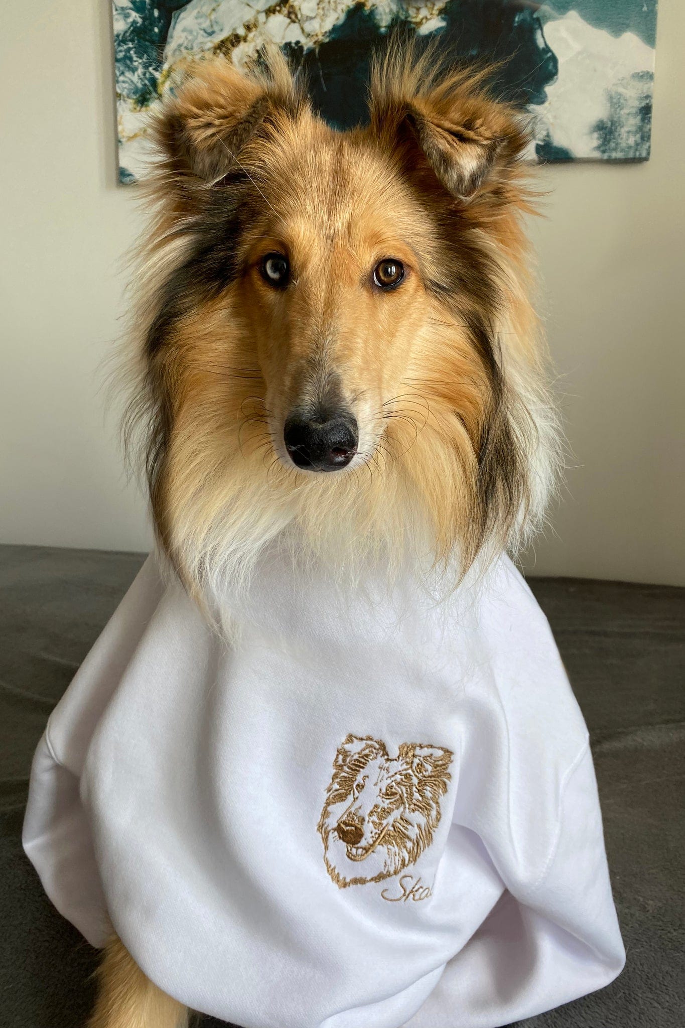 SWEATSHIRT MIT PERSONALISIERTEM HAUSTIERPORTRÄT