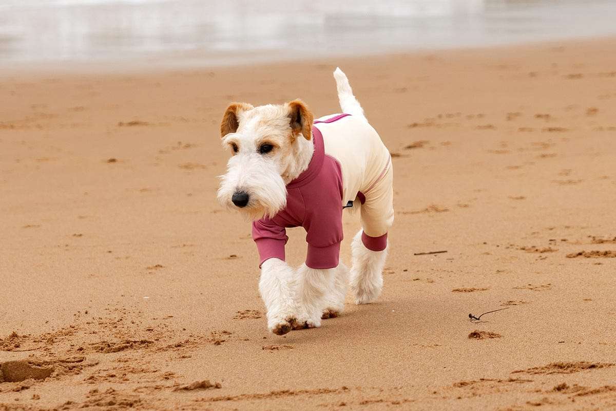 New Arrivals Cooling Ice Silk Dog Jumpsuit UPF50+ outdoors jacket for pets