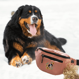 Mystichot Gürteltasche aus Bio-Canvas mit individueller Bestickung für Haustierporträts