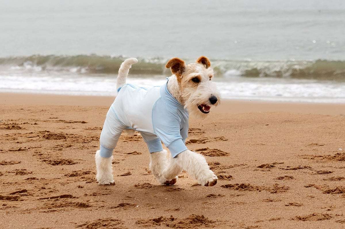 New Arrivals Cooling Ice Silk Dog Jumpsuit UPF50+ outdoors jacket for pets