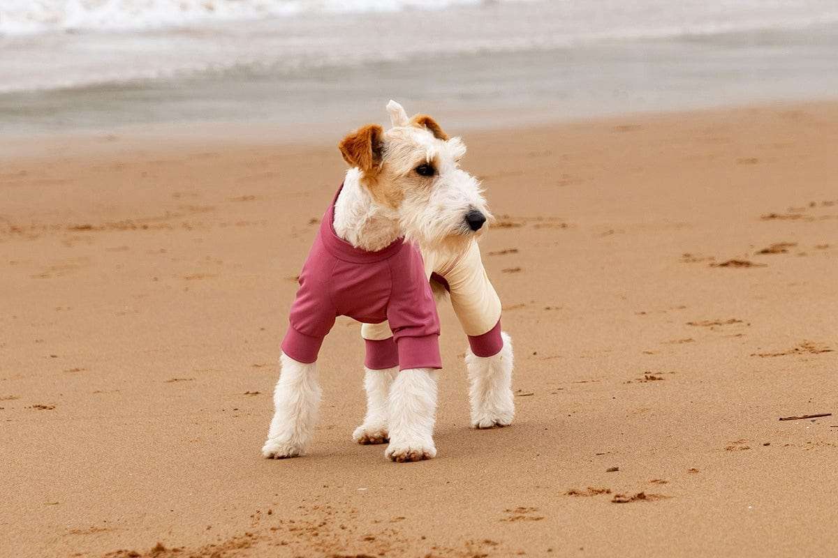 New Arrivals Cooling Ice Silk Dog Jumpsuit UPF50+ outdoors jacket for pets